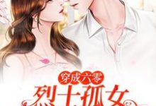 小说《穿成六零烈士孤女，开局闪婚军官》章节免费阅读-书格格