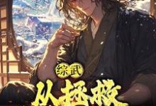 完结版《综武：从拯救殷素素开始》章节目录在线阅读-书格格