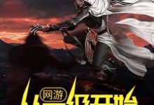 完结版《网游：从一级开始秒天秒地》章节阅读-书格格