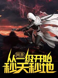 完结版《网游：从一级开始秒天秒地》章节阅读