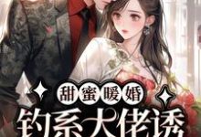 完结版《甜蜜暖婚：钓系大佬诱我嫁入他怀》章节目录在线阅读-书格格