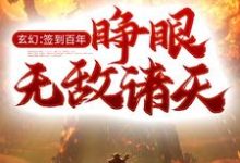 玄幻：签到百年，睁眼无敌诸天小说，玄幻：签到百年，睁眼无敌诸天最新章节-书格格