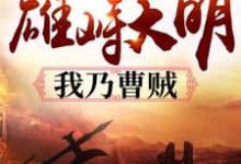 求雄峙大明：我乃曹贼小说的全文免费阅读链接-书格格