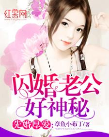 闪婚老公好神秘小说，闪婚老公好神秘莫小陶厉斯夜沈越