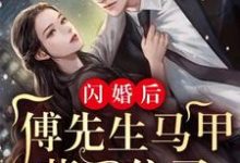 完结版《闪婚后：傅先生马甲藏不住了》在线免费阅读-书格格