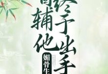 媚骨生香：首辅他终于出手了小说，媚骨生香：首辅他终于出手了章节在线阅读-书格格