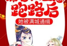 揣着权臣崽跑路后，她被满城通缉小说全文哪里可以免费看？-书格格