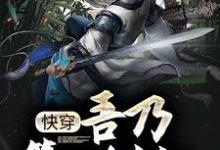 已完结小说《玄幻：吾乃第一剑仙，师承低级武者》章节免费阅读-书格格