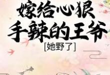 《嫁给心狠手辣的王爷后，她野了》全集免费在线阅读（晏南柯宫祀绝）-书格格