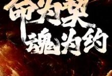 完结版《命为契，魂为约》在线免费阅读-书格格