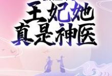 完结版《禀王爷，王妃她真是神医》在线免费阅读-书格格