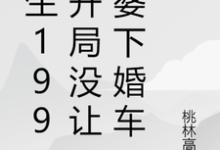 重生1991开局没让老婆下婚车小说完结版章节免费阅读-书格格