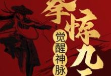 觉醒神脉后，一拳惊九天江玄云曦，觉醒神脉后，一拳惊九天在线无弹窗阅读-书格格