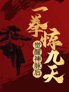 觉醒神脉后，一拳惊九天江玄云曦，觉醒神脉后，一拳惊九天在线无弹窗阅读