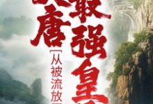 主人公叫李祐的小说大唐最强皇子：从被流放开始在线阅读章节-书格格