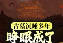 古墓沉睡多年，睁眼成了千年国宝？小说的无弹窗阅读体验，寻找免费阅读网站-书格格