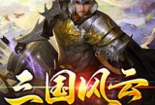 《三国风云之张续》全集免费在线阅读（张续张超）-书格格