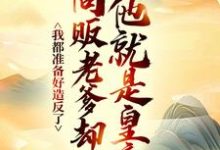 完结版《我都准备好造反了，商贩老爹却说他就是皇帝？》章节阅读-书格格