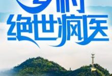 乡村绝世疯医陆枫洛神小说大结局免费试读-书格格