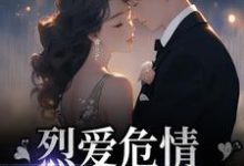 完结版《烈爱危情：错付一世情深》章节阅读-书格格