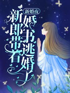 已完结小说《新婚夜，新郎带着婚书逃婚了？》在线章节阅读