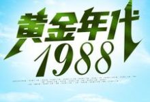 钟援朝钟局是哪本书的主角？寻找黄金年代1988免费阅读-书格格