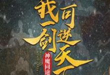 小说《神魔同途：我一剑可逆天下》在线章节阅读-书格格