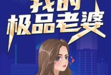 完结版《我的极品老婆》章节目录在线阅读-书格格