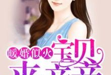 完结版《暖婚似火：宝贝，来亲亲！》章节阅读-书格格