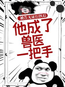 宋病是哪本书的主角？被告无证行医后，他成了兽医一把手免费读