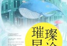 完结版《璀璨星途》章节阅读-书格格