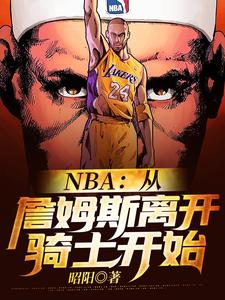 哪里能找到NBA：从詹姆斯离开骑士开始小说的全部章节？