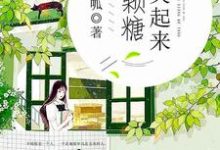 完结版《你笑起来像颗糖》章节阅读-书格格