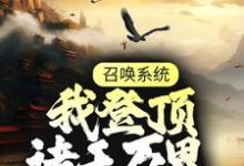 召唤系统：我登顶诸天万界这本小说在哪里可以看？哪里有免费试读章节？-书格格