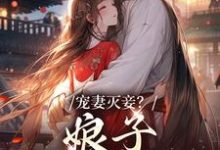 《宠妻灭妾？娘子，我不会啊》小说大结局免费试读 盛觅觅小说-书格格