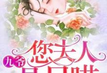 完结版《九爷，您夫人是只喵》章节阅读-书格格