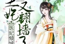 《医妃倾城：王妃又翻墙了》小说章节列表免费试读，叶落瑾顾南轩小说在线阅读-书格格