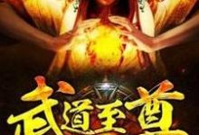 完结版《武道至尊》章节目录在线阅读-书格格