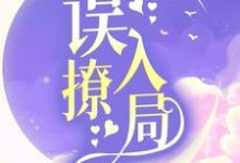 完结版《误撩入局》章节阅读-书格格