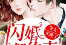 闪婚契约妻：为夫来晚了小说阅读，闪婚契约妻：为夫来晚了完结版-书格格