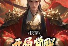 快穿：开局觉醒无上帝王系统小说，快穿：开局觉醒无上帝王系统免费阅读-书格格