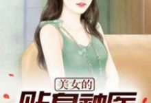 美女的贴身神医小说全文哪里可以免费看？-书格格