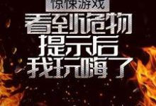 惊悚游戏：看到诡物提示后我玩嗨了小说全文阅读需要付费吗？寻找免费资源-书格格