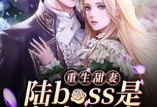 重生甜妻：陆boss是宠妻狂魔江瑾欢，重生甜妻：陆boss是宠妻狂魔在线无弹窗阅读-书格格