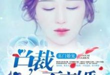 完结版《名门婚宠：总裁不离婚》章节目录在线阅读-书格格