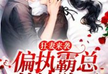 完结版《狂妻来袭，偏执霸总他沦陷了》章节阅读-书格格