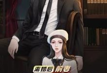 已完结小说《离婚后，前妻跪求我复婚》在线章节阅读-书格格