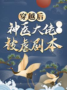 小说《穿越后，神医大佬撕了被虐剧本》章节免费阅读