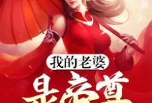 《我的老婆是帝尊》全集免费在线阅读（林傲青莲仙帝林凝玉李倾城）-书格格