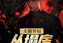 完结版《天崩开局！从塌房明星开始》在线免费阅读-书格格